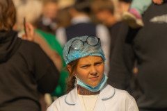SNE02246